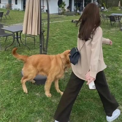 完美母亲