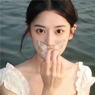 后宫之乌